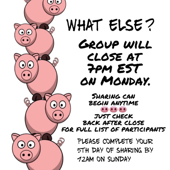 CLOSED 🐷 06/17/24 - 🐷 - Picture 4 of 14